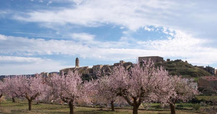 Villa Tossal Del Maig à Barbará Extérieur photo